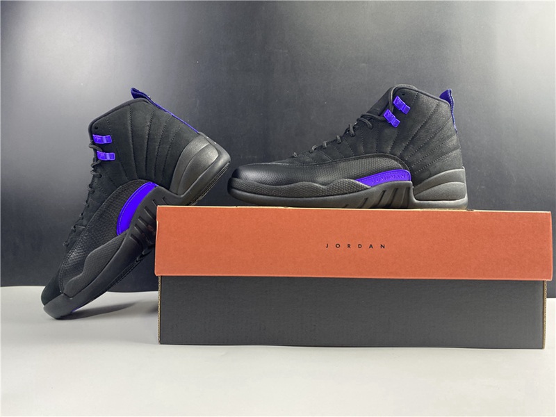 Air Jordan 12 Dark Concord(CT8013-005)
